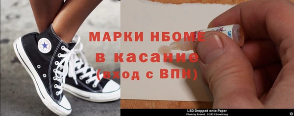 стаф Верея