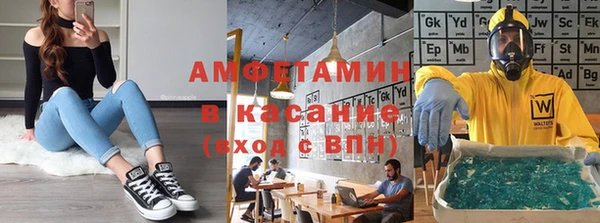 стаф Верея