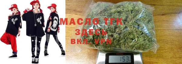 гидра Верхний Тагил