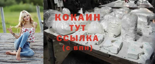 гидра Верхний Тагил
