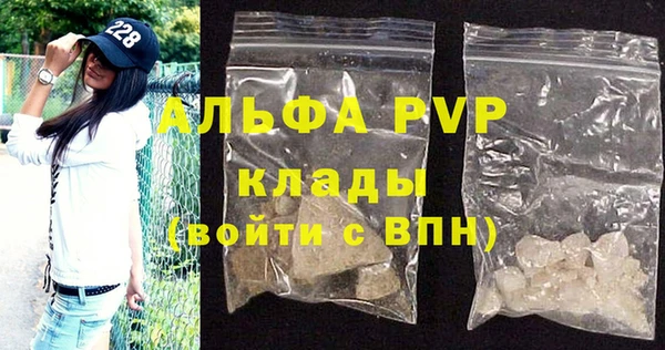 стаф Верея