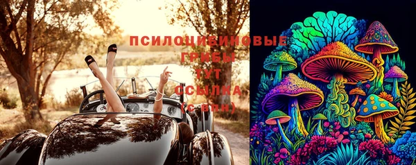 гидра Верхний Тагил