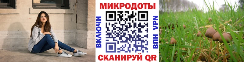где купить наркоту  Дубовка  Галлюциногенные грибы мухоморы 