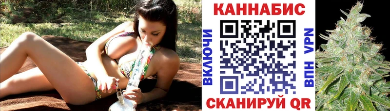 Конопля OG Kush Дубовка